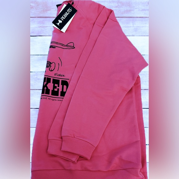 NWT UO Peanuts Oversized Sweatshirt XS - Picture 5 of 7